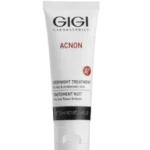 GIGI Atkuriamasis naktinis kremas "Acnon overnight treatment" pridėta į patikusias prekes.